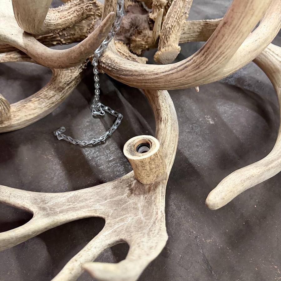Used TROPHY REAL WHITE-TAIL ANTLER CHANDELIER