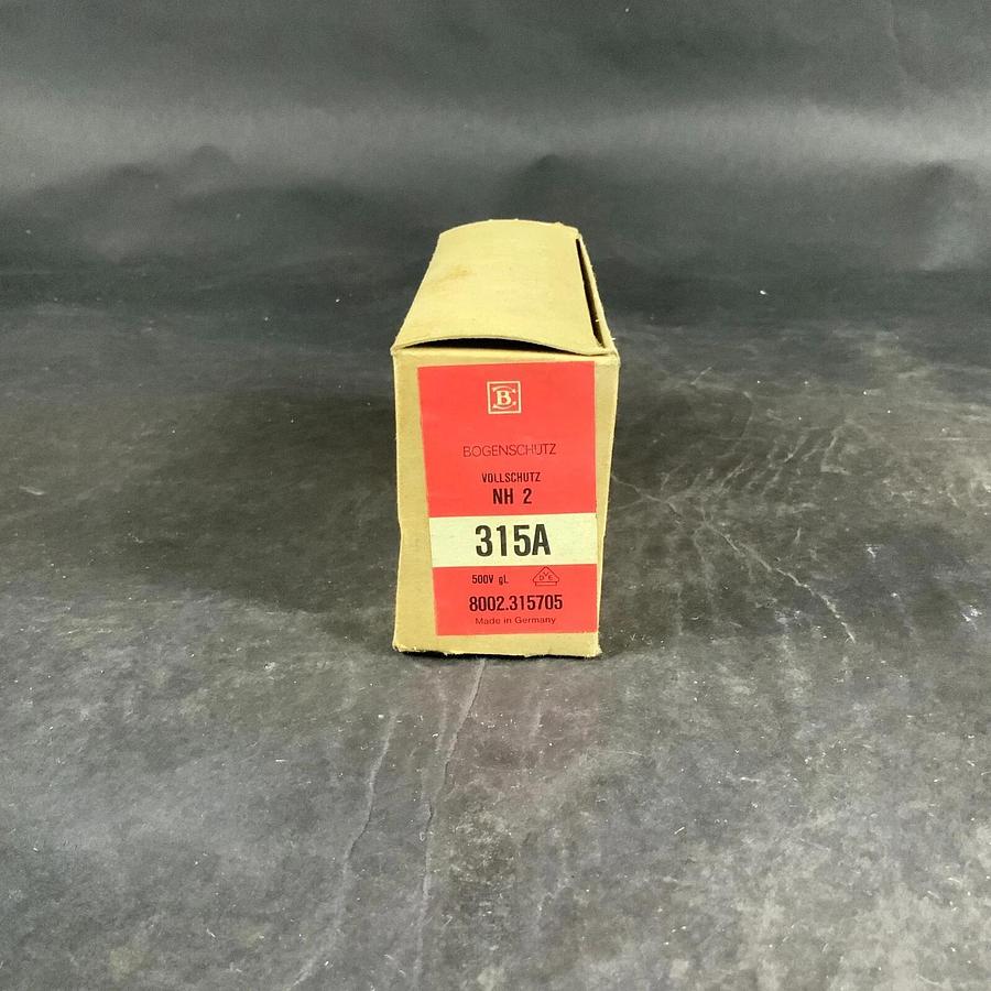 BOGENSCHUTZ NH2 8002 315A FUSE ($25 OBO)
