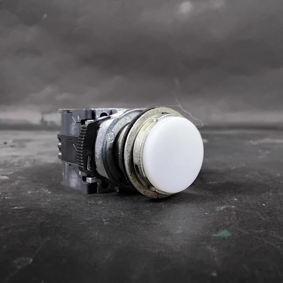 Used ALLEN BRADLEY 800F-Q10 SER A WHITE PUSHBUTTON ($20 OBO)