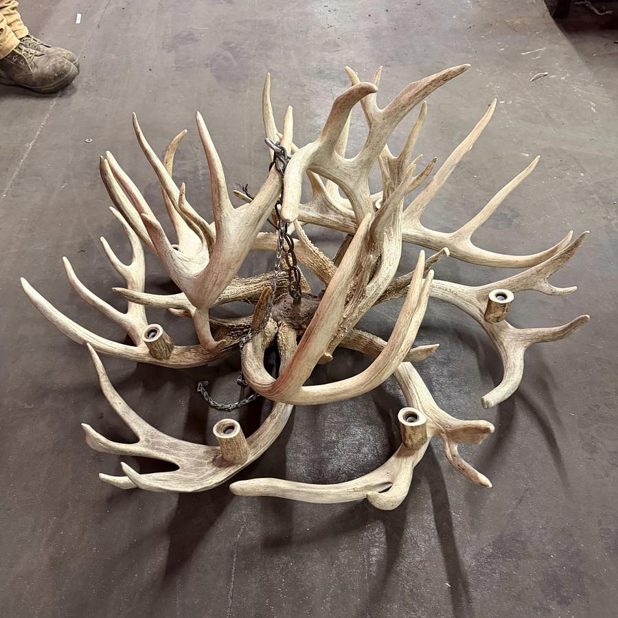 Used TROPHY REAL WHITE-TAIL ANTLER CHANDELIER
