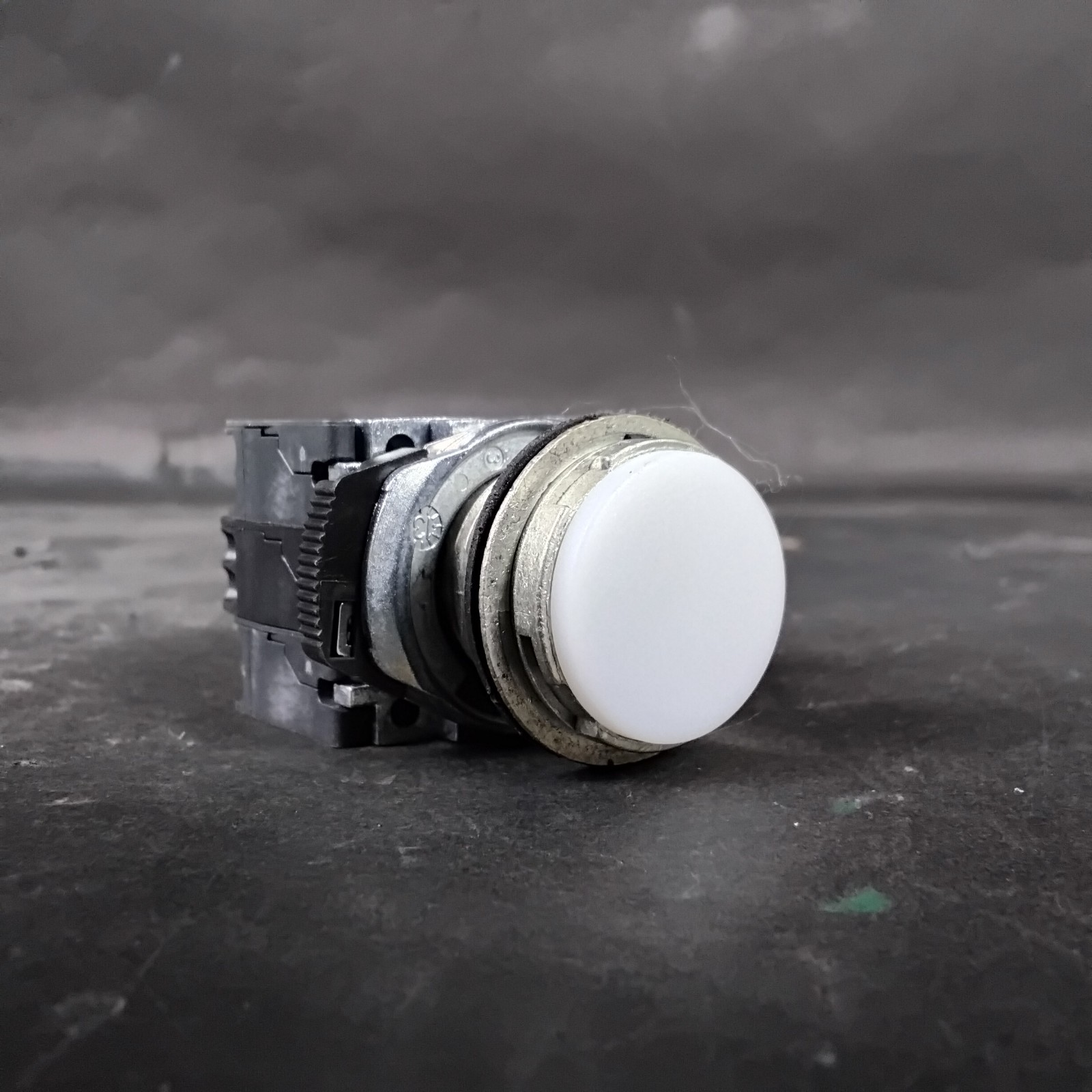 Used ALLEN BRADLEY 800F-Q10 SER A WHITE PUSHBUTTON ($20 OBO)