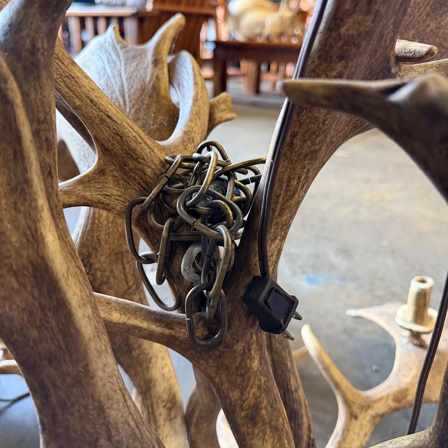 Used REAL FALLOW DEAR ANTLER CHANDELIER