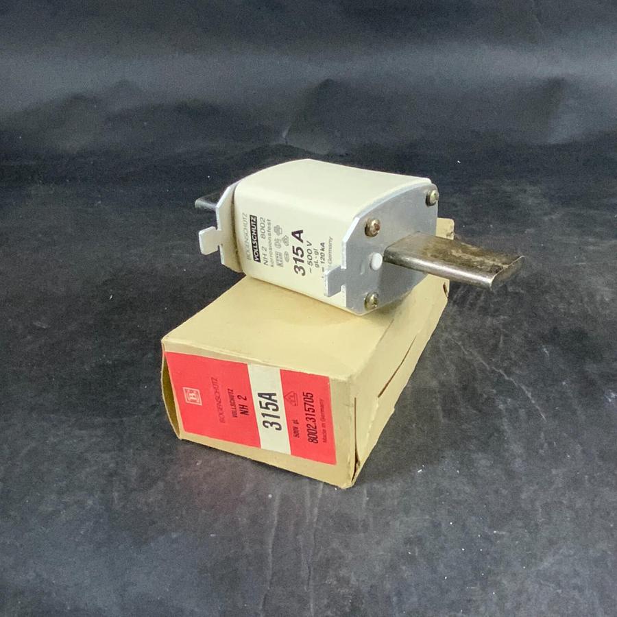 Used BOGENSCHUTZ NH2 8002 315A FUSE ($25 OBO)