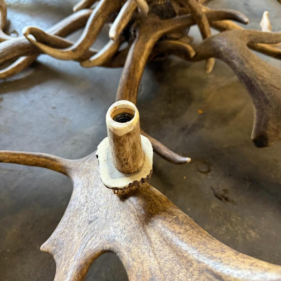 Used REAL FALLOW DEAR ANTLER CHANDELIER