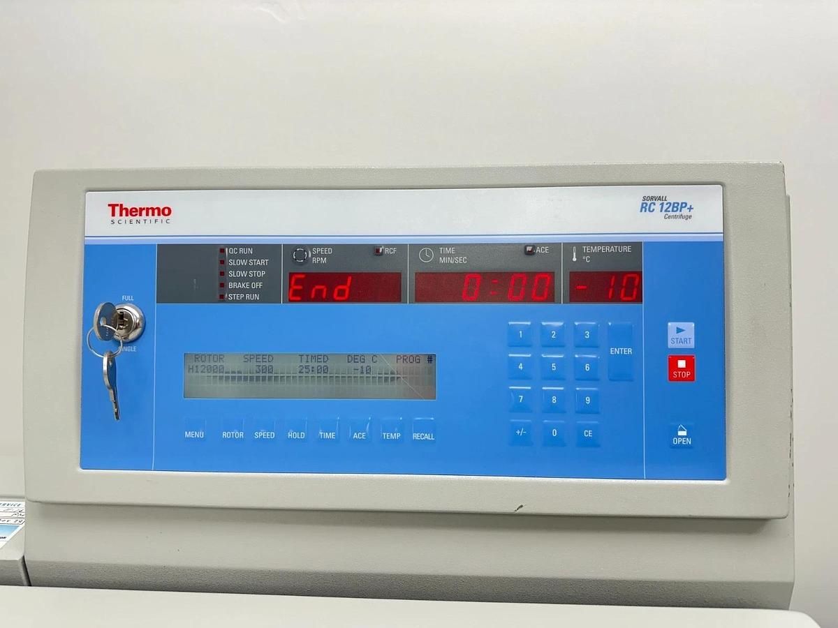 Used Thermo Sorvall RC 12BP+ Bioprocessing Centrifuge with H-12000 rotor/buckets 2012