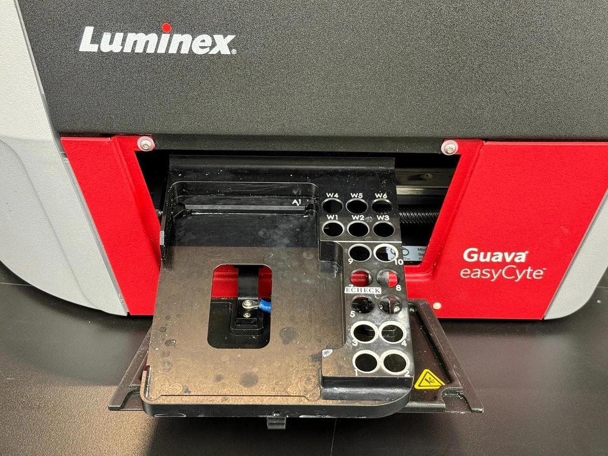 Used Luminex Guava EasyCyte HT Flow Cytometer | Benchtop 96-Well Microcapillary