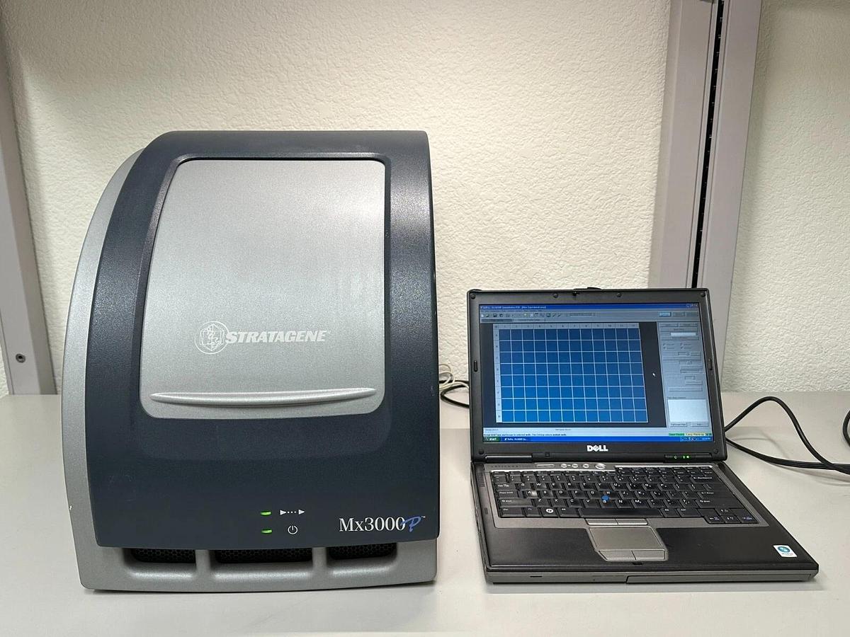 Used Agilent Stratagene Mx3000p multiplex quantitative real-time qPCR system