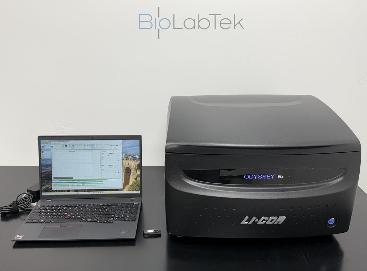Used Li-Cor Odyssey DLx Infrared Imaging System 9142 yr.2022