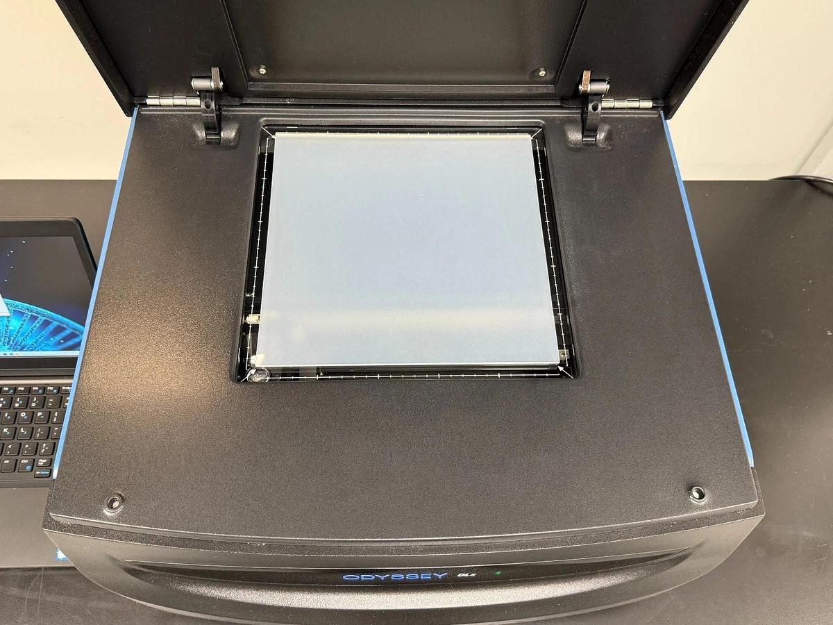 Used LI-COR Odyssey DLx Near-Infrared Fluorescence Imaging System | Western Blot