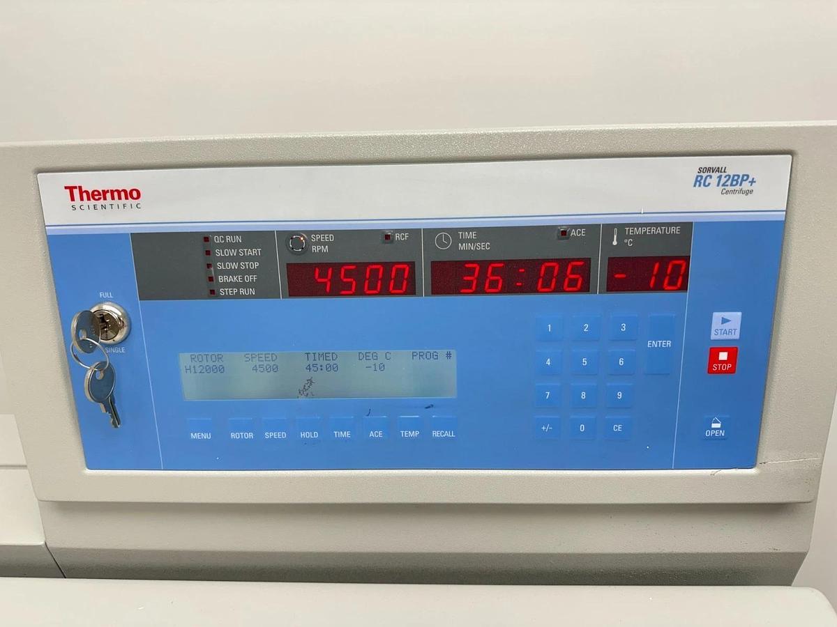 Used Thermo Sorvall RC 12BP+ Bioprocessing Centrifuge with H-12000 rotor/buckets 2016