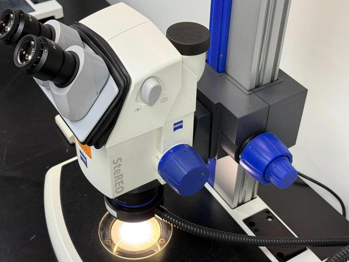 Used Zeiss SteREO Discovery.V8 Stereo Zoom Microscope | Plan S 1.0x Schott CL 1500