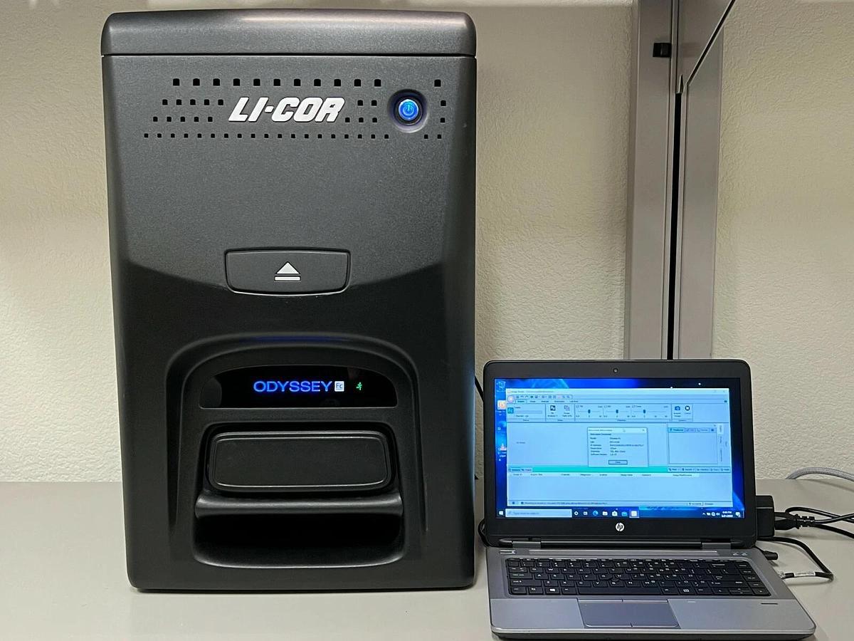 Used LI-COR Odyssey FC dual-mode Western blot Imaging System 700/800/Chemi