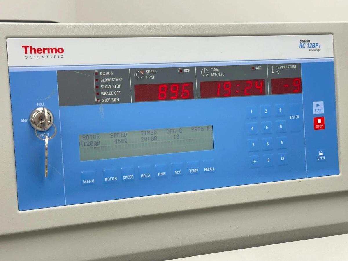 Used Thermo Sorvall RC 12BP+ Bioprocessing Centrifuge with H-12000 rotor/buckets 2012