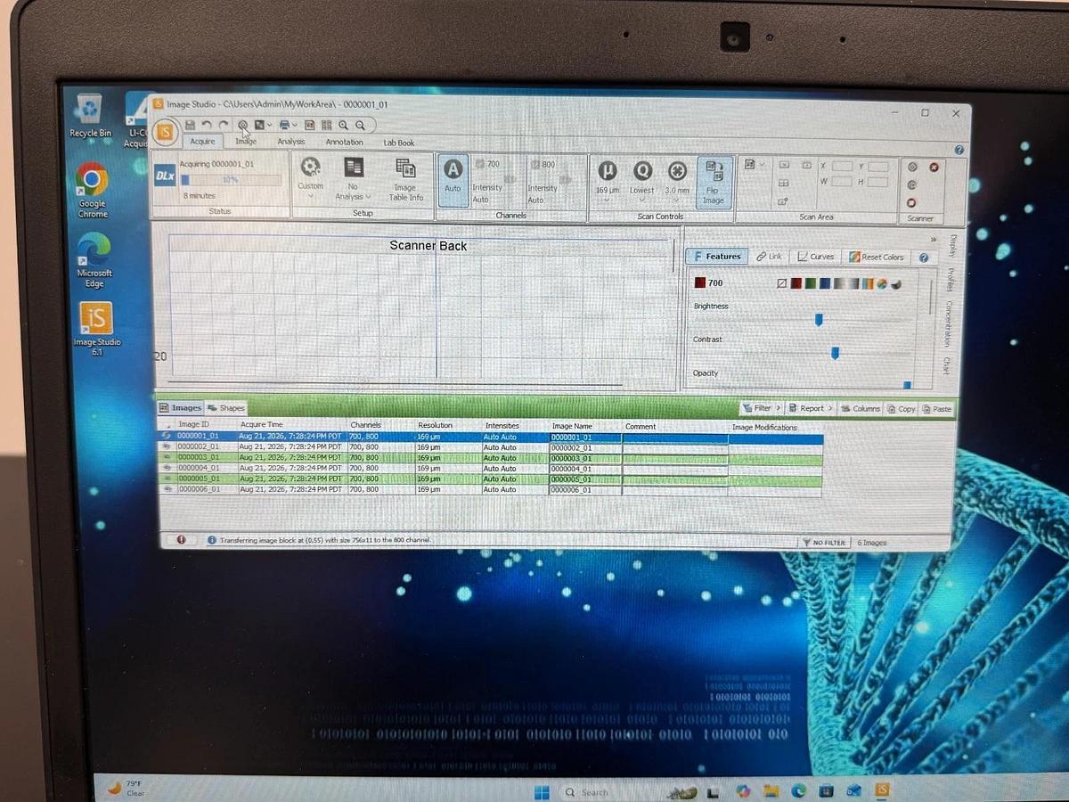 Used LI-COR Odyssey DLx Near-Infrared Fluorescence Imaging System | Western Blot
