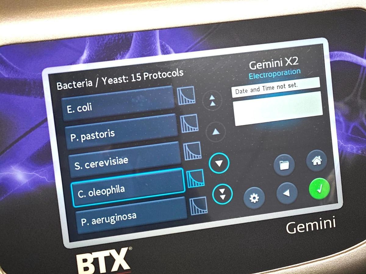 Used BTX Gemini X2 Twin Wave Electroporator with Safety Dome