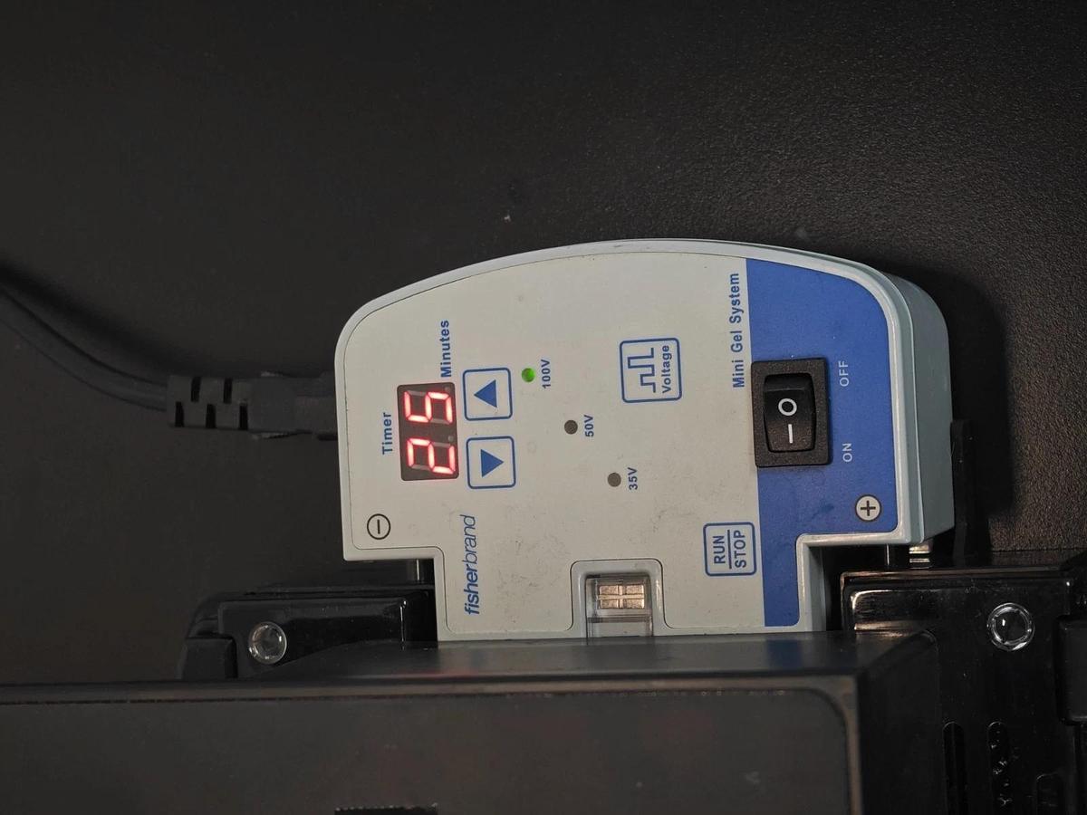 Used Fisher | RealTime DNA Electrophoresis Mini Gel System