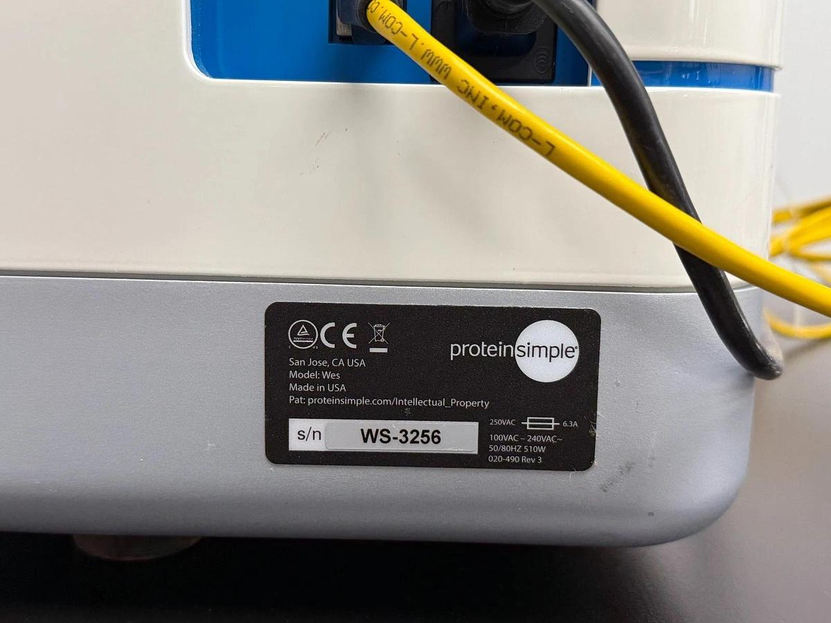 Used ProteinSimple Wes Automated Western Blot System | 25-Capillary Immunoassay