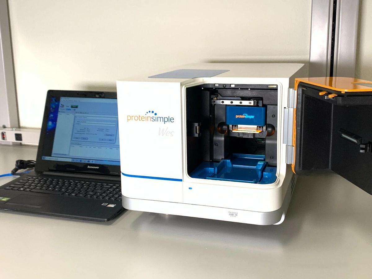 Used ProteinSimple WES Simple Western Protein Analyzer system w/Warranty