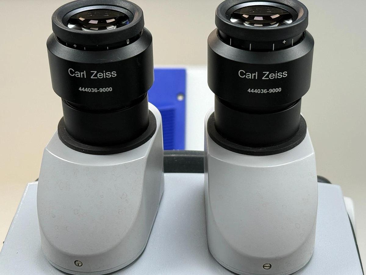 Used Zeiss SteREO Discovery.V8 Stereo Zoom Microscope | Plan S 1.0x Schott CL 1500