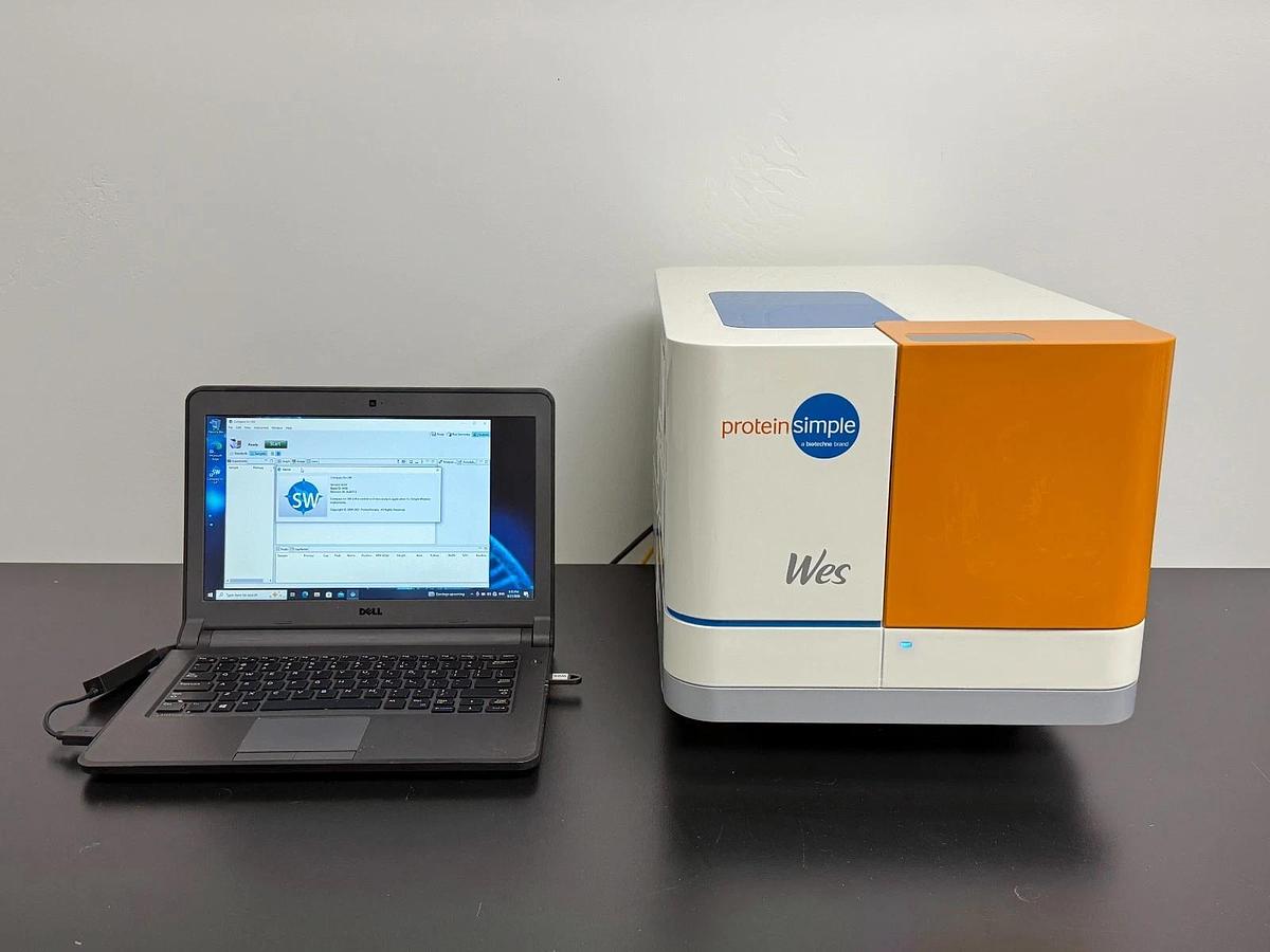 Used ProteinSimple Wes Automated Western Blot System | 25-Capillary Immunoassay