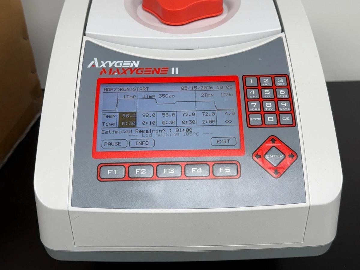 Used Axygen MaxyGene II PCR Thermal Cycler with 96 Wells x 0.2 ml Block 110V