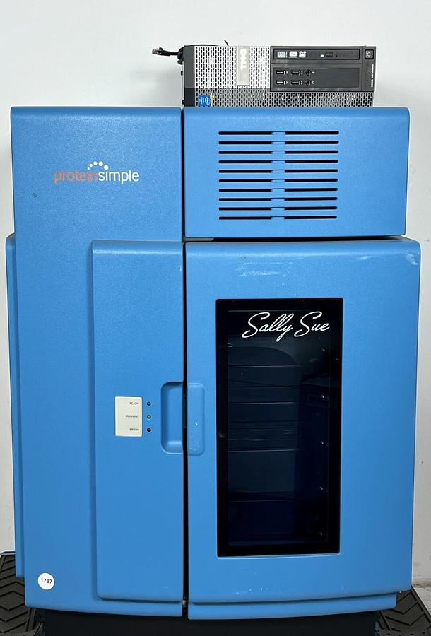 Used ProteinSimple Sally Sue simple western automated protein analyzer