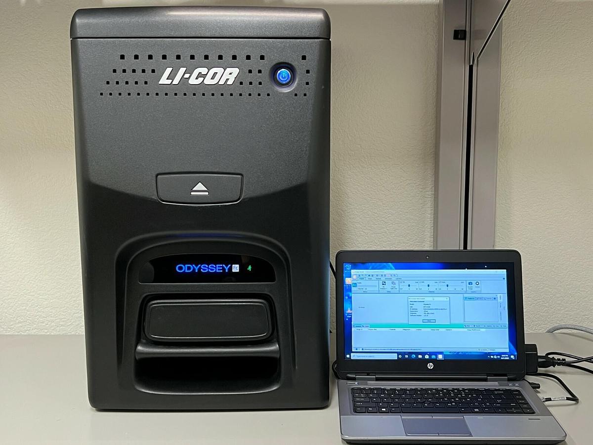 Used LI-COR Odyssey FC dual-mode Western blot Imaging System 700/800/Chemi