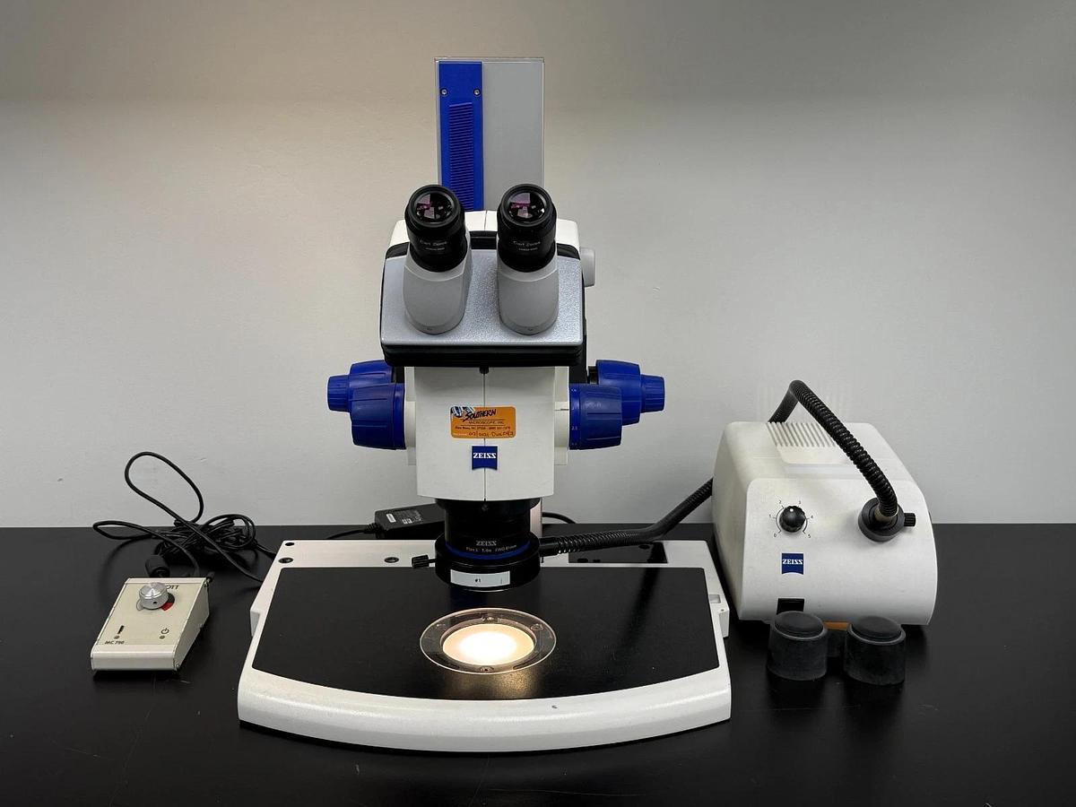 Used Zeiss SteREO Discovery.V8 Stereo Zoom Microscope | Plan S 1.0x Schott CL 1500