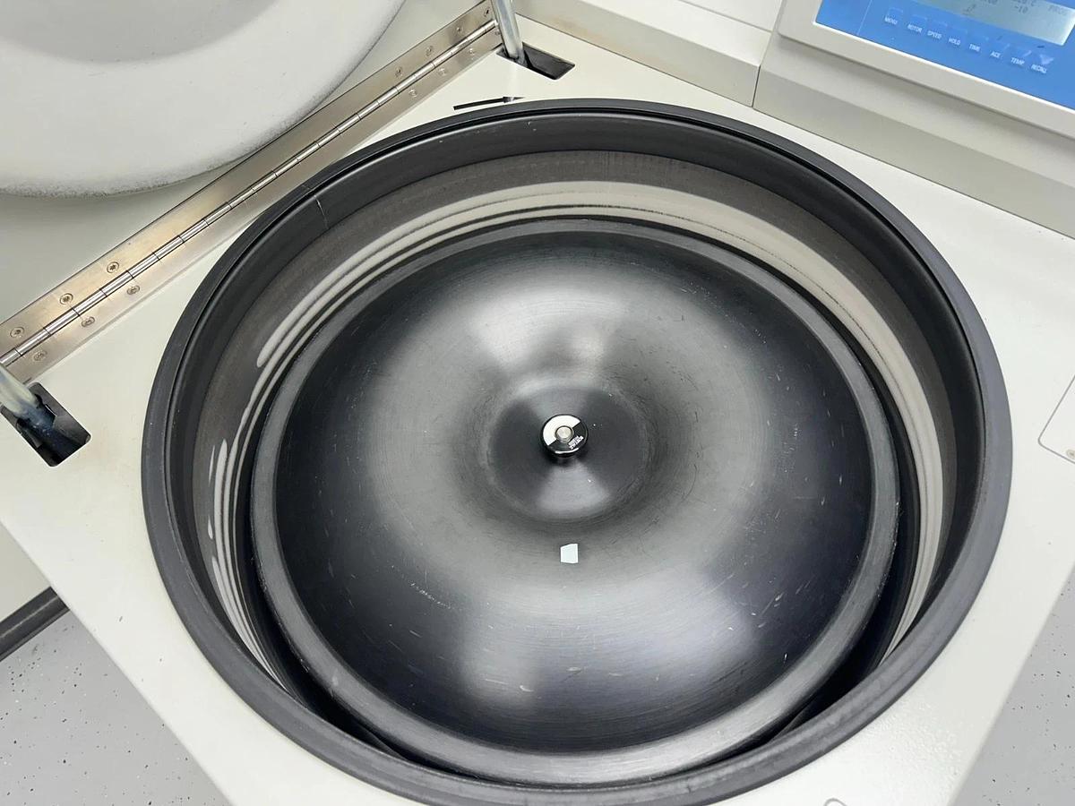 Used Thermo Sorvall RC 12BP+ Bioprocessing Centrifuge with H-12000 rotor/buckets 2016