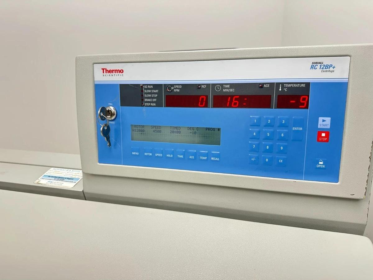 Used Thermo Sorvall RC 12BP+ Bioprocessing Centrifuge with H-12000 rotor/buckets 2012