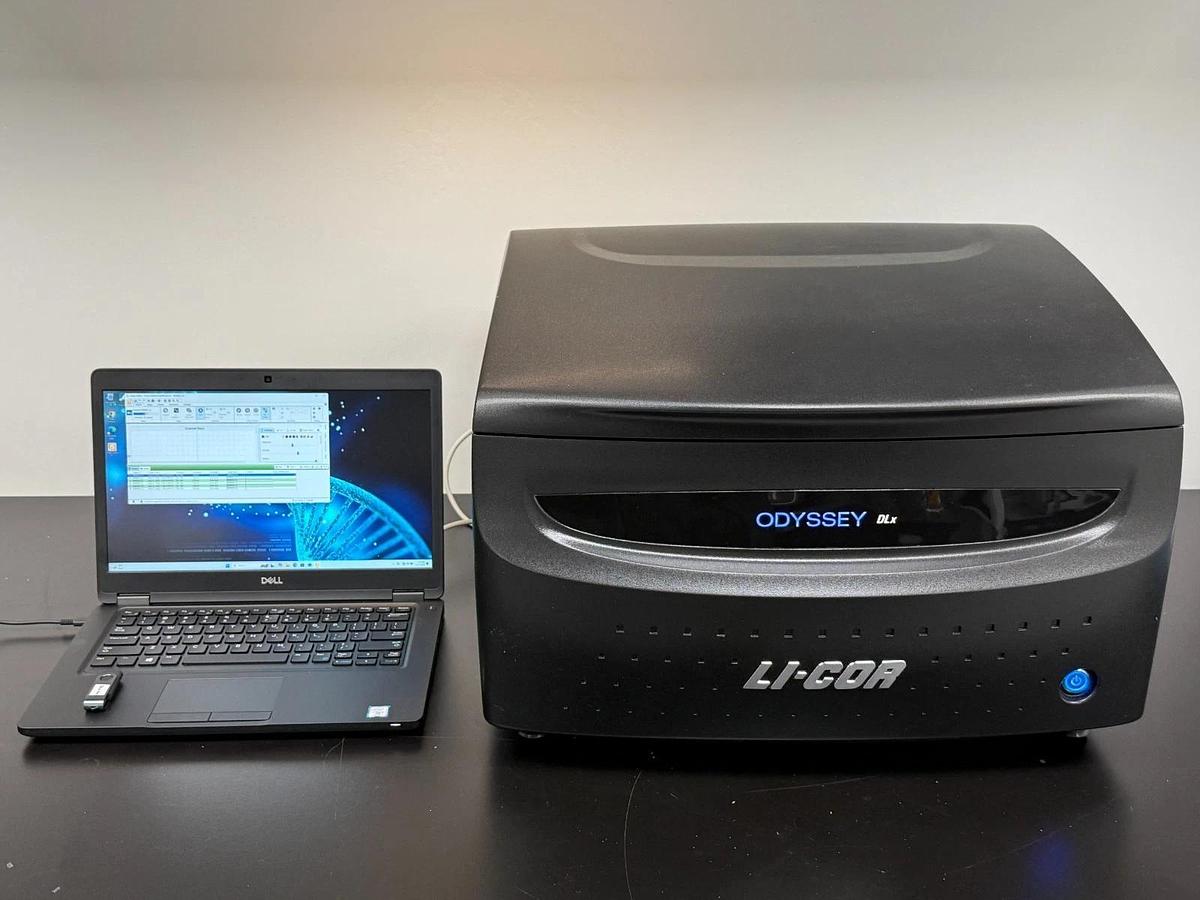 Used LI-COR Odyssey DLx Near-Infrared Fluorescence Imaging System | Western Blot