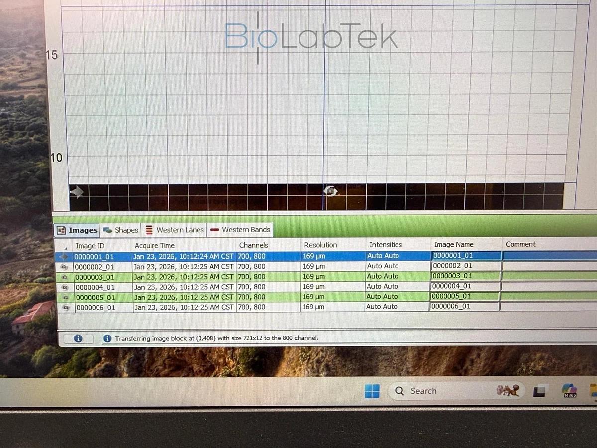 Used Li-Cor Odyssey DLx Infrared Imaging System 9142 yr.2022