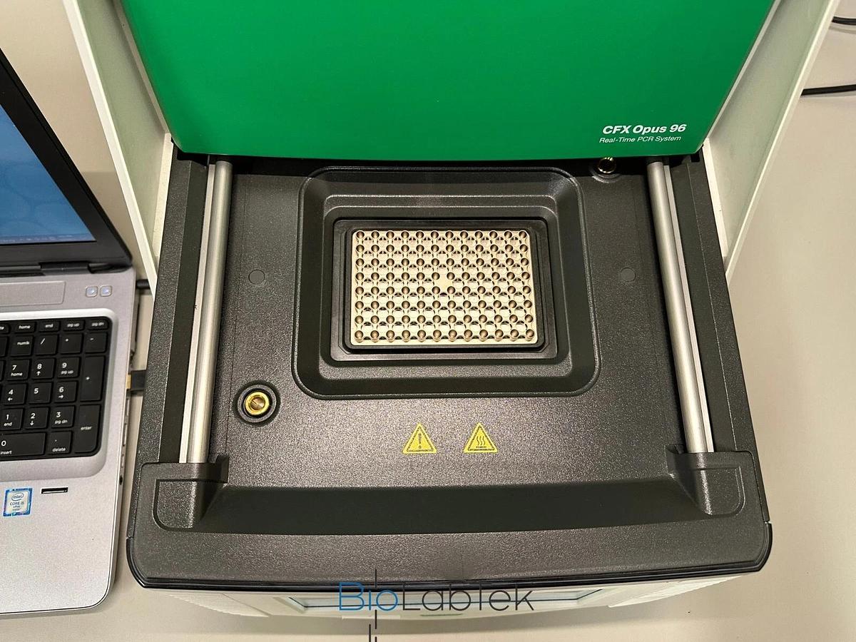 Used Bio-Rad CFX Opus 96 well Real-Time PCR System with Warranty