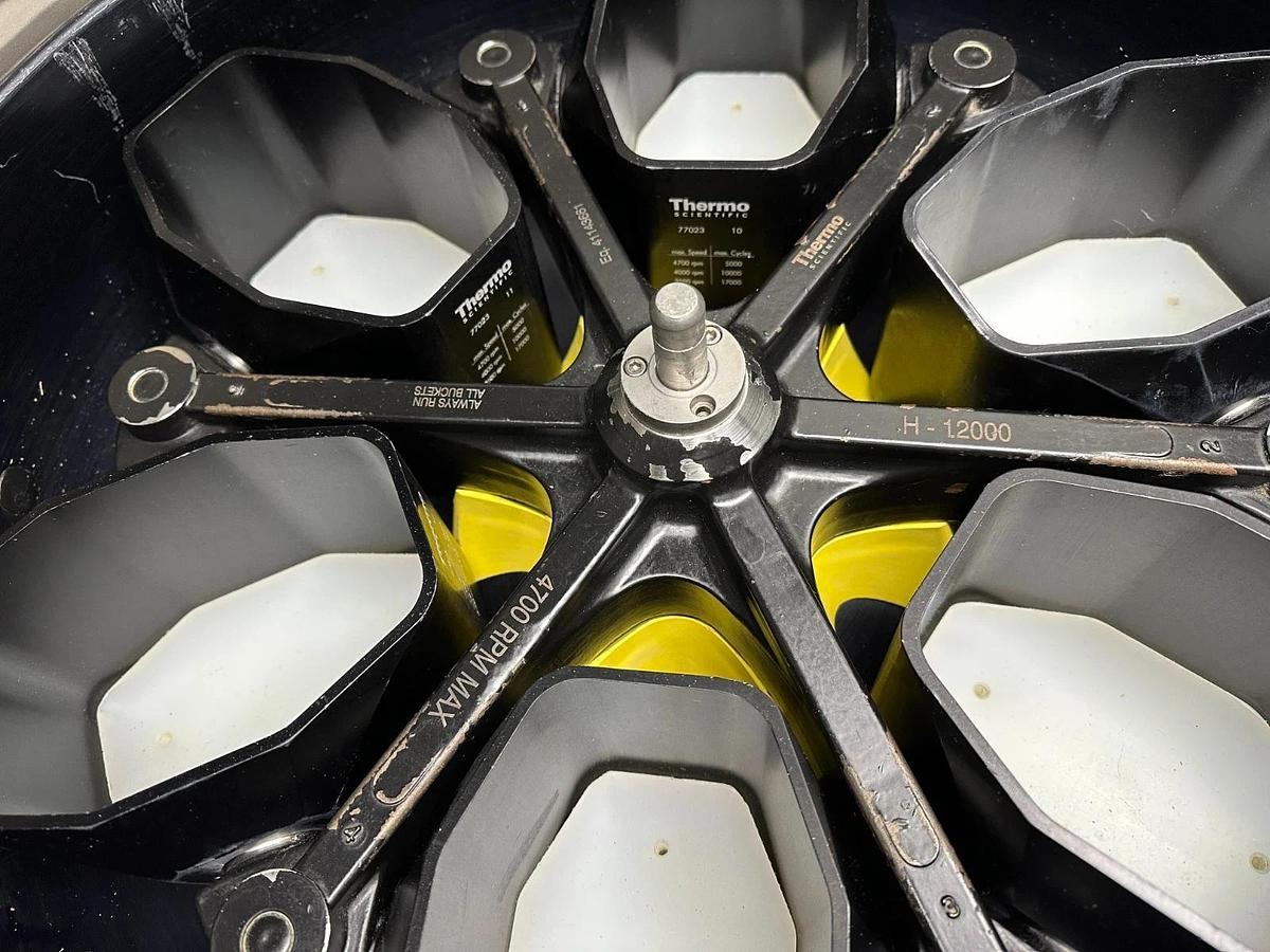 Used Thermo Sorvall RC 12BP+ Bioprocessing Centrifuge with H-12000 rotor/buckets 2015