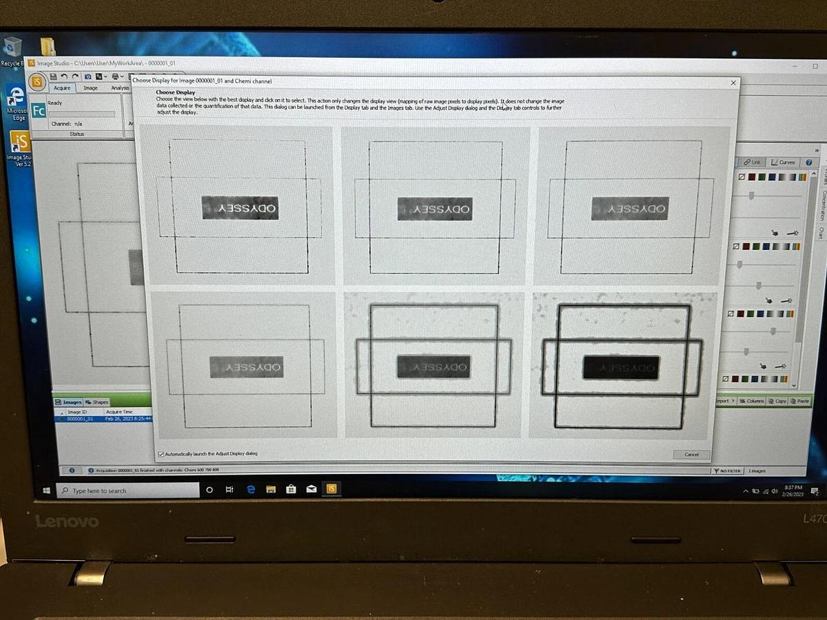 Used LI-COR Odyssey FC dual-mode Western blot Imaging System 600/700/800/Chemi