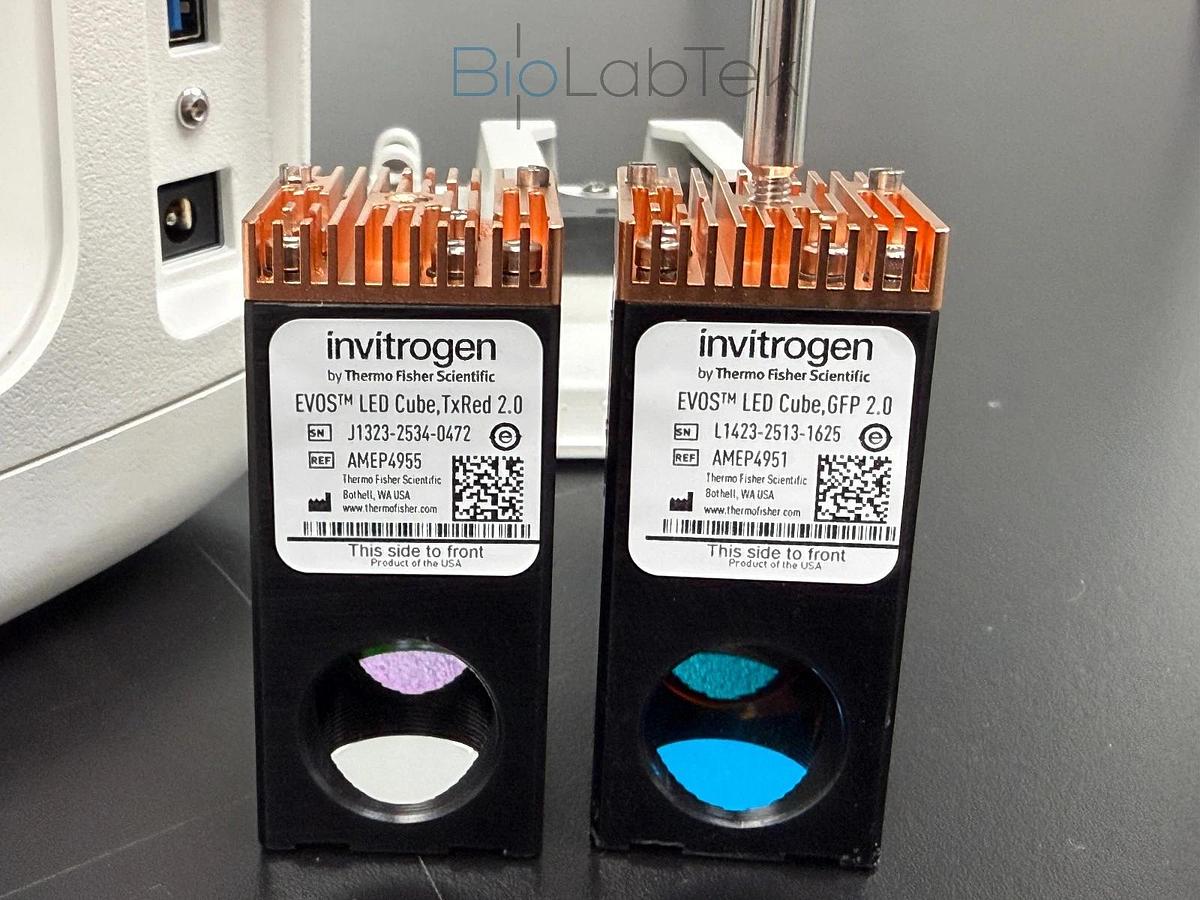 Used Thermo Invitrogen Countess 3 FL Cell Counter with Evos TxRed & GFP Led Cubes