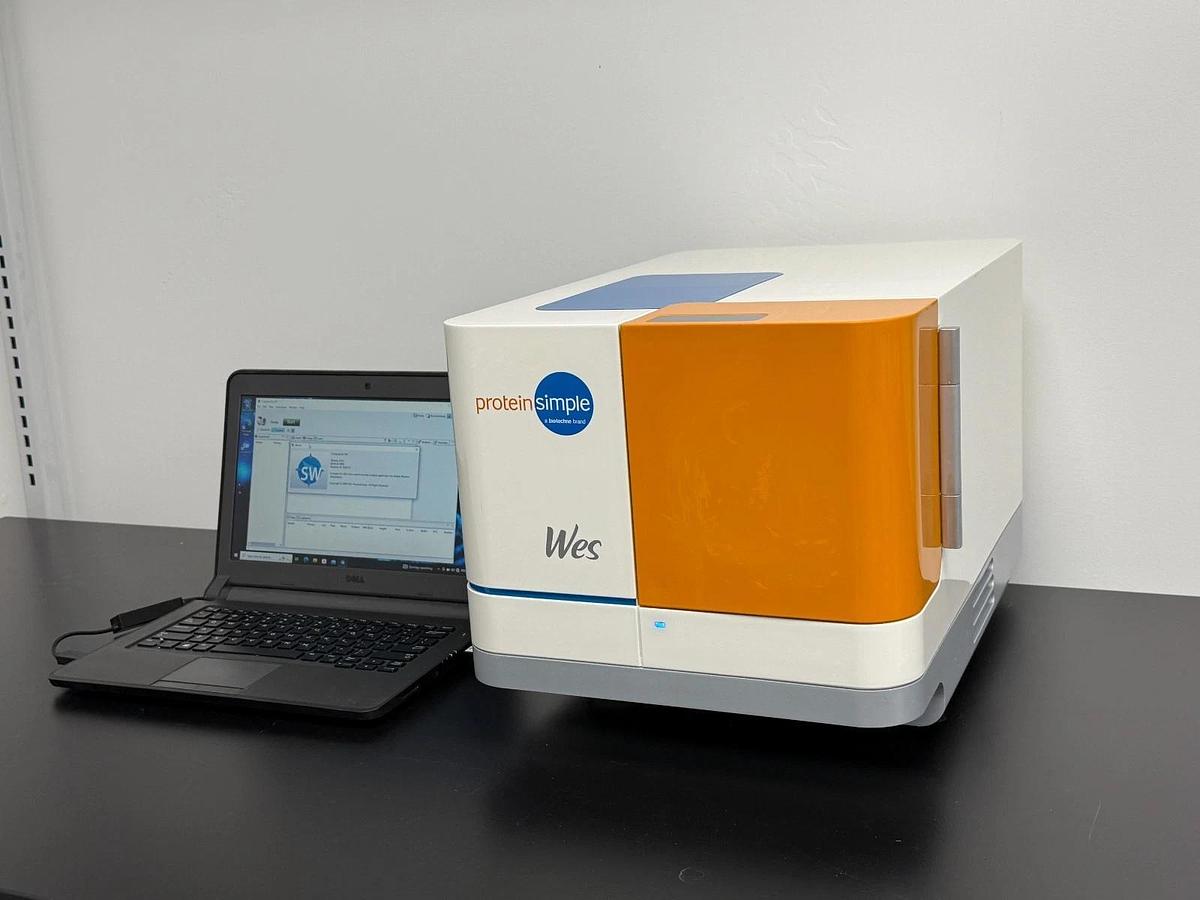 Used ProteinSimple Wes Automated Western Blot System | 25-Capillary Immunoassay