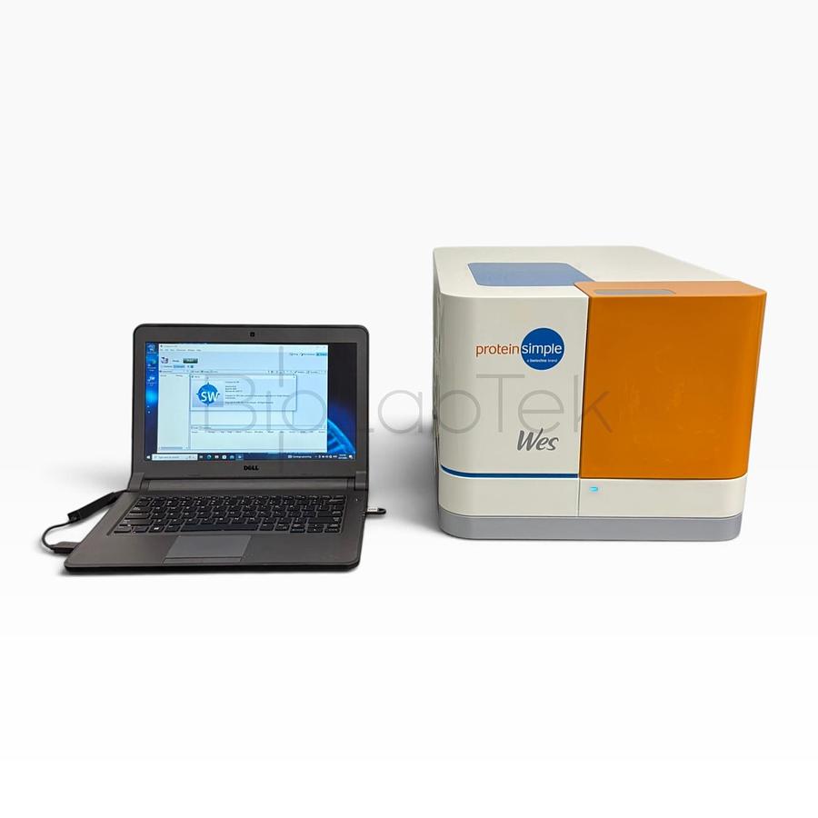 Used ProteinSimple Wes Automated Western Blot System | 25-Capillary Immunoassay