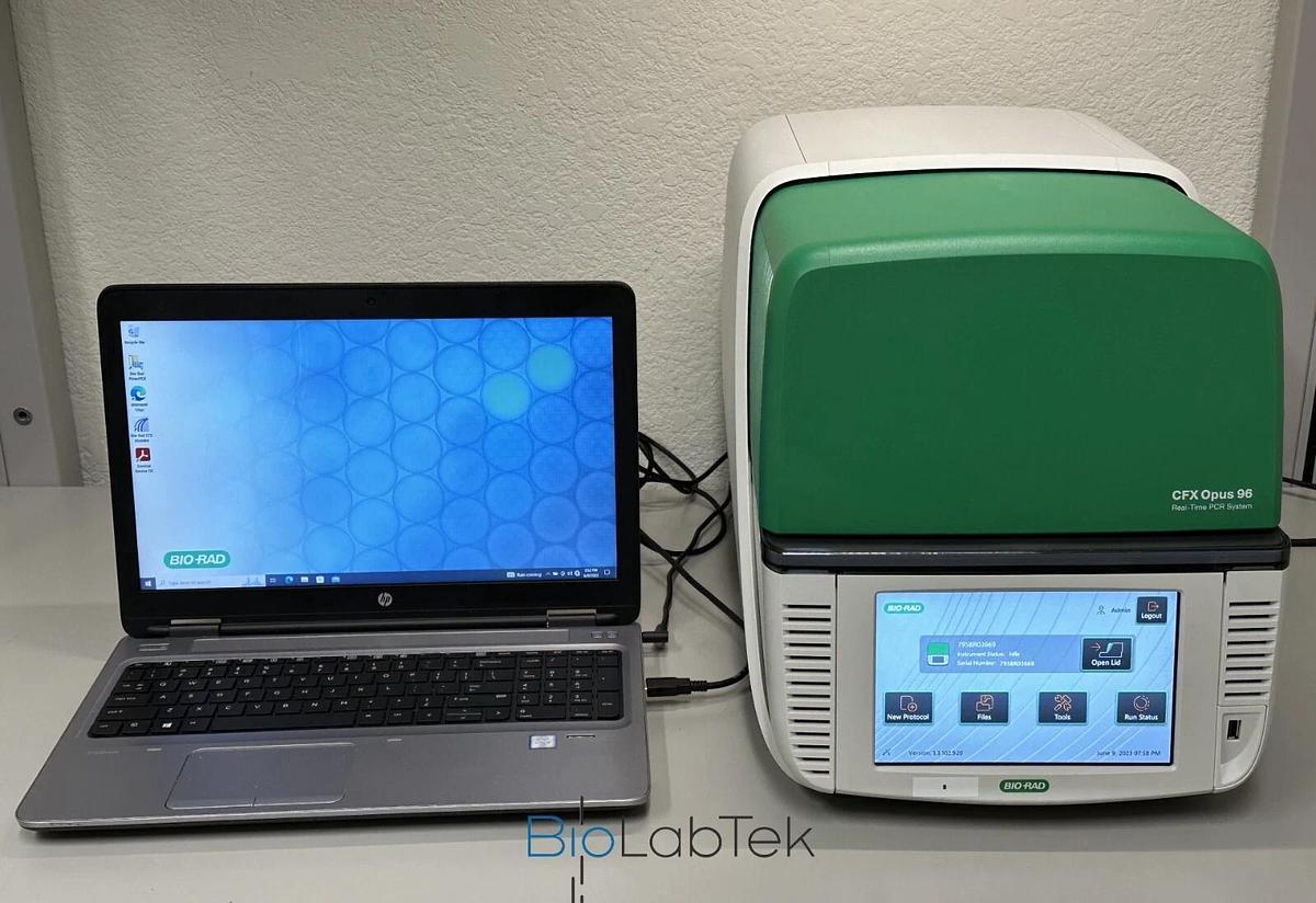 Used Bio-Rad CFX Opus 96 well Real-Time PCR System with Warranty