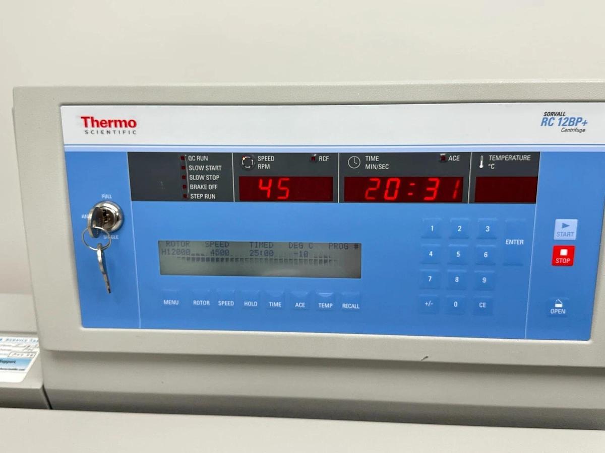 Used Thermo Sorvall RC 12BP+ Bioprocessing Centrifuge with H-12000 rotor/buckets 2012