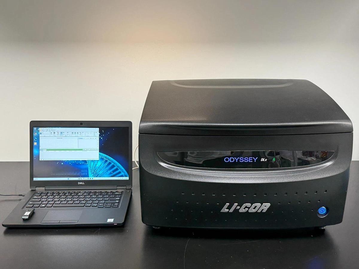 Used LI-COR Odyssey DLx Near-Infrared Fluorescence Imaging System | Western Blot