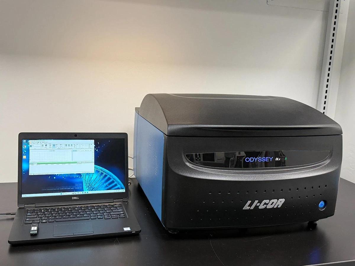 Used LI-COR Odyssey DLx Near-Infrared Fluorescence Imaging System | Western Blot