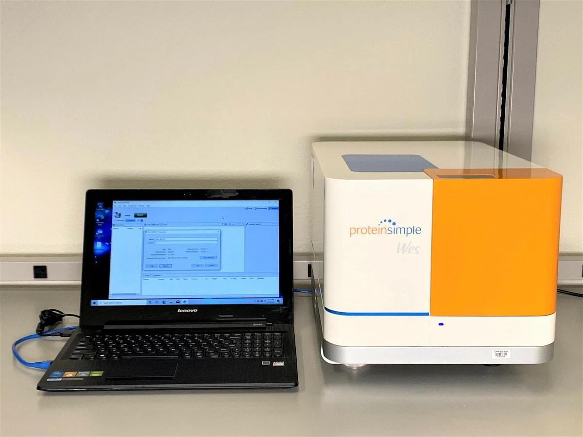 Used ProteinSimple WES Simple Western Protein Analyzer system w/Warranty