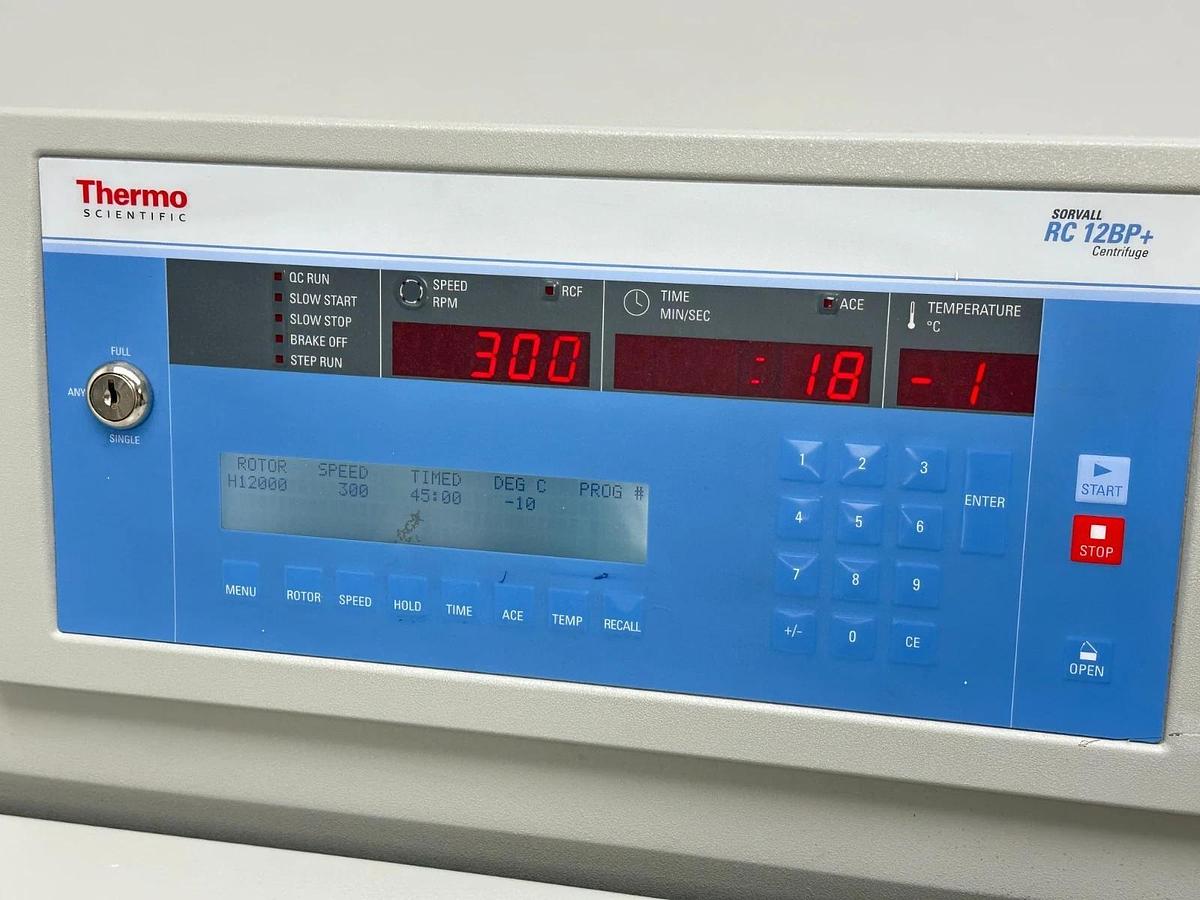 Used Thermo Sorvall RC 12BP+ Bioprocessing Centrifuge with H-12000 rotor/buckets 2016