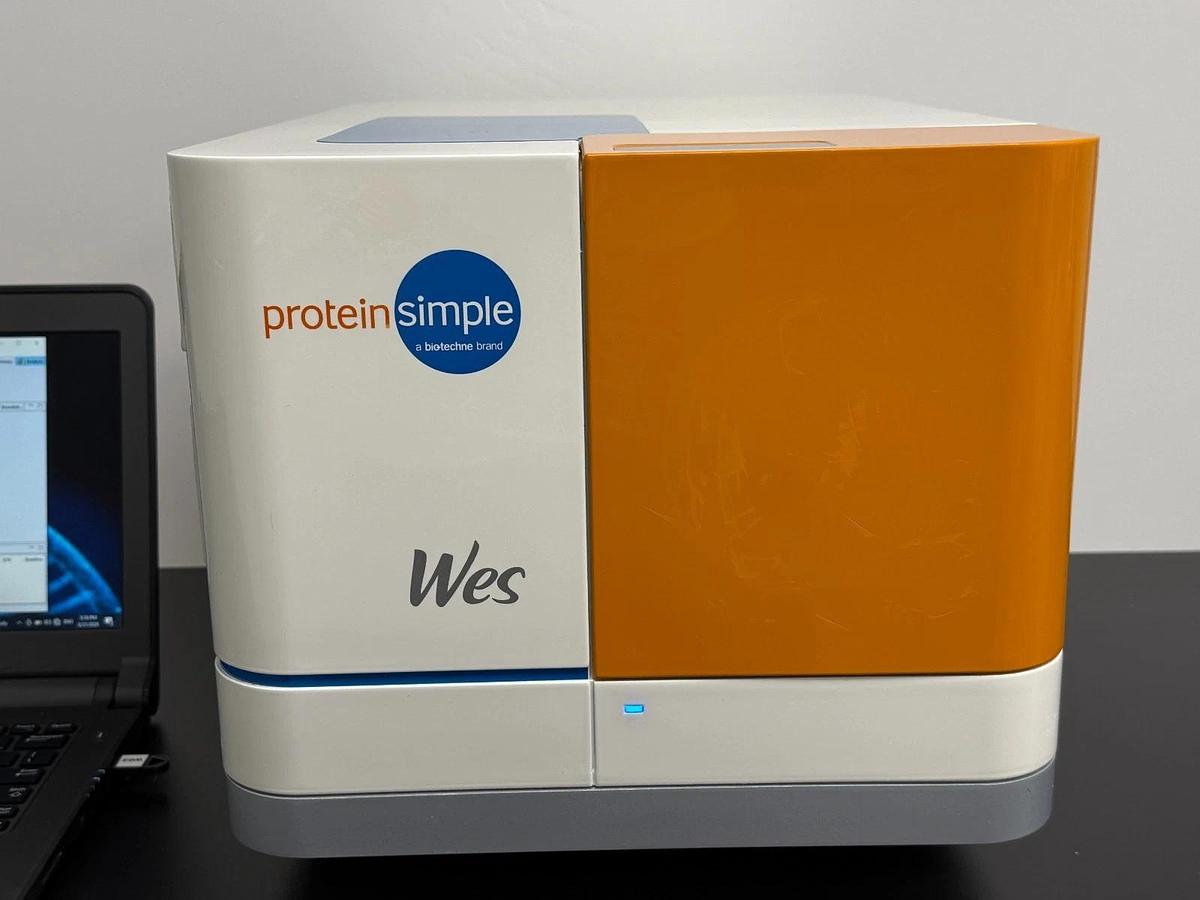 Used ProteinSimple Wes Automated Western Blot System | 25-Capillary Immunoassay