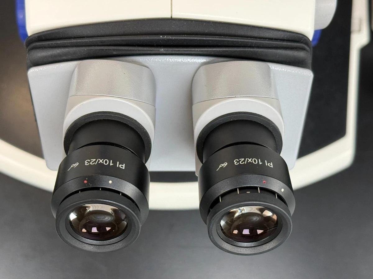 Used Zeiss SteREO Discovery.V8 Stereo Zoom Microscope | Plan S 1.0x Schott CL 1500