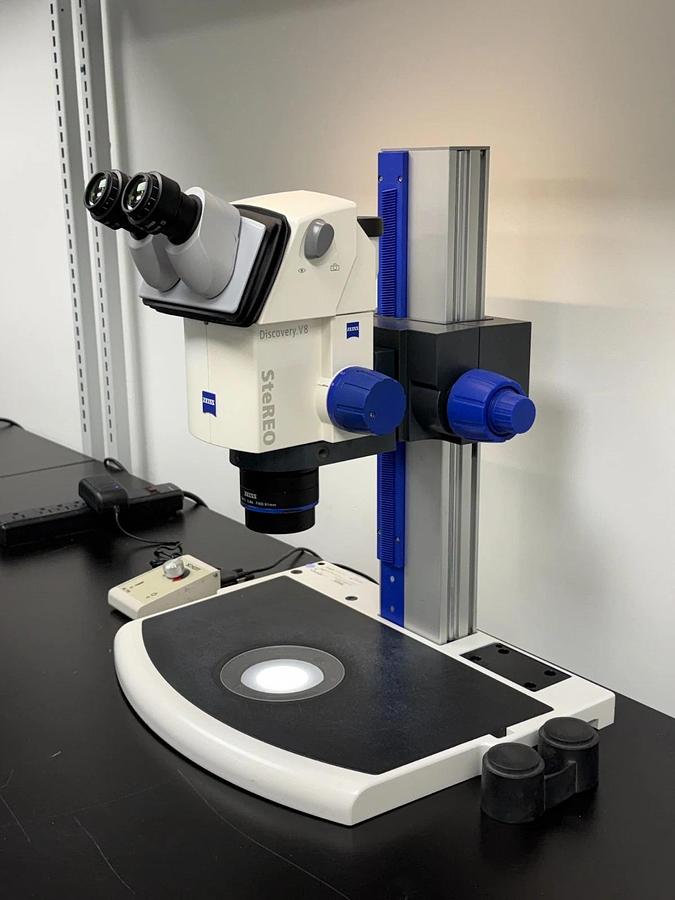 Used Zeiss SteREO Discovery.V8 Zoom Microscope Plan S 1.0x | Transmitted Light Base