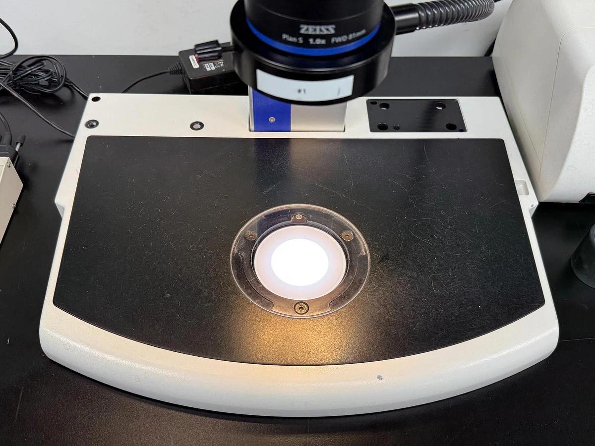 Used Zeiss SteREO Discovery.V8 Stereo Zoom Microscope | Plan S 1.0x Schott CL 1500