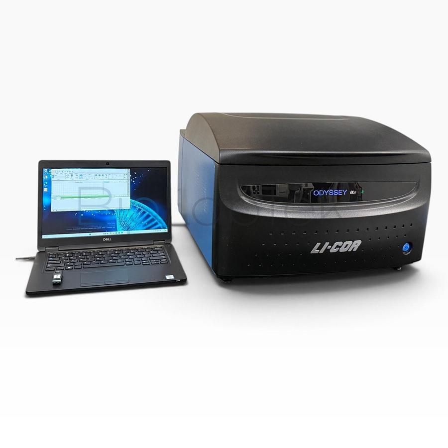 Used LI-COR Odyssey DLx Near-Infrared Fluorescence Imaging System | Western Blot