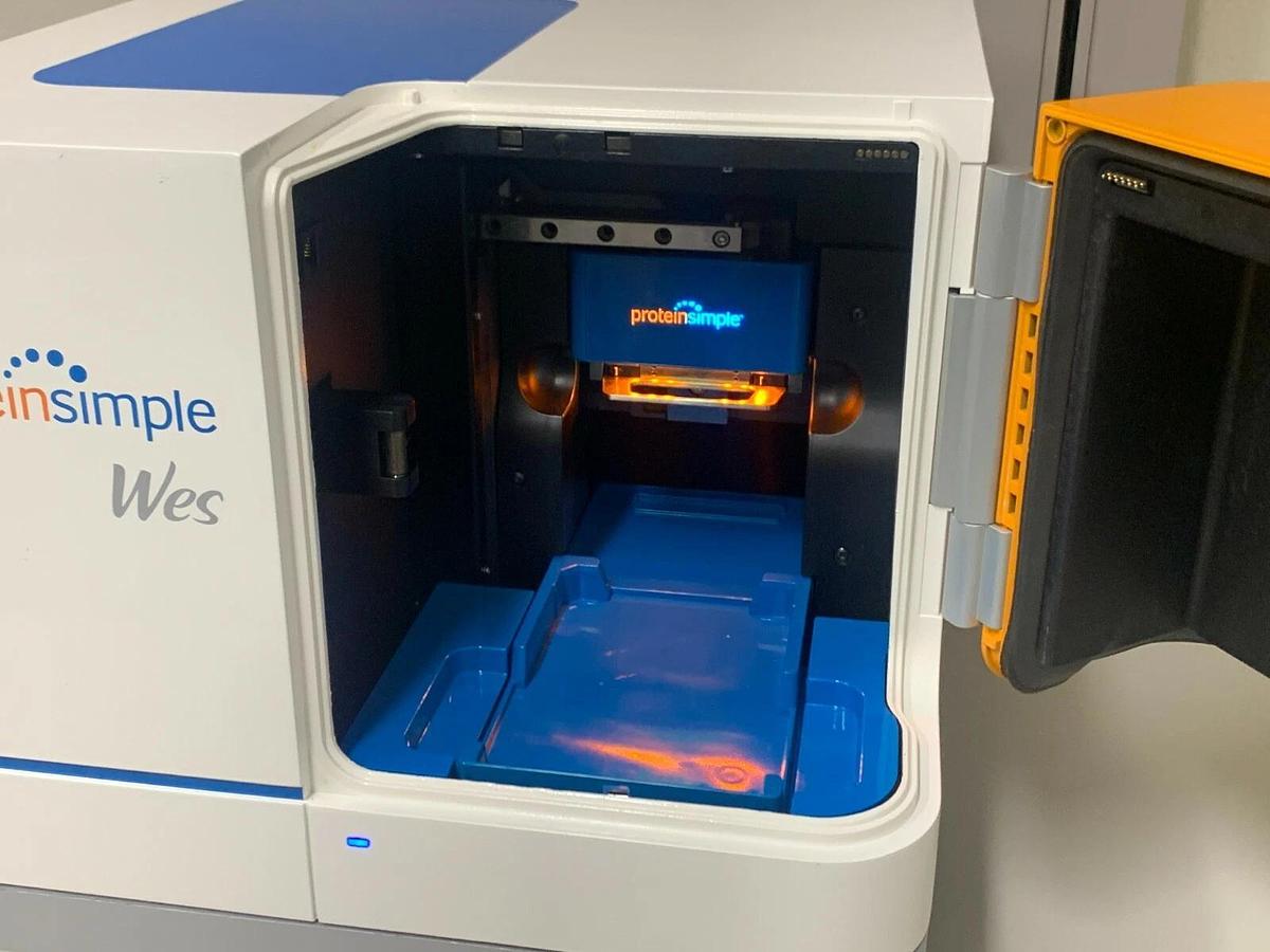 Used ProteinSimple WES Simple Western Protein Analyzer system w/Warranty